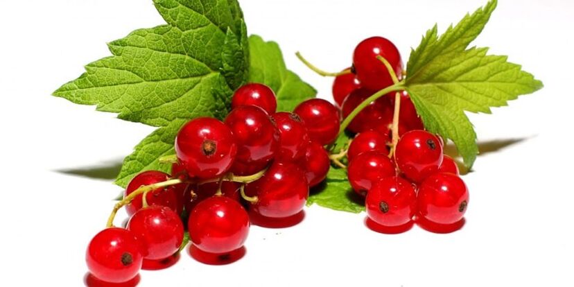 Red currant is on the list of prohibited foods on a hypoallergenic diet. 
